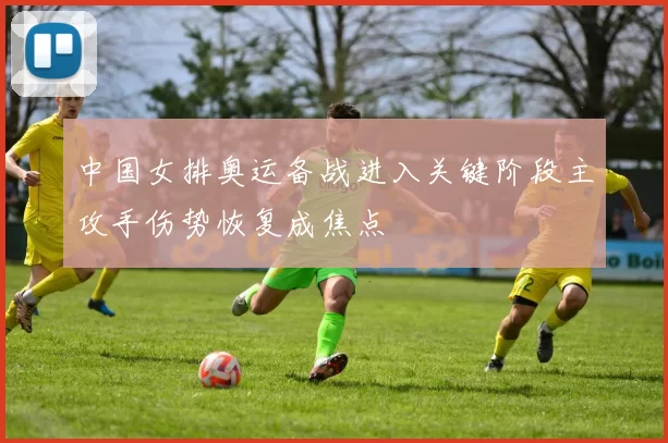 中国女排奥运备战进入关键阶段主攻手伤势恢复成焦点