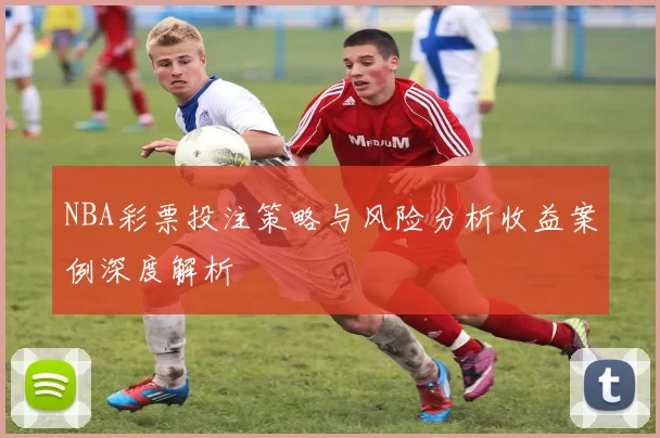 NBA彩票投注策略与风险分析收益案例深度解析