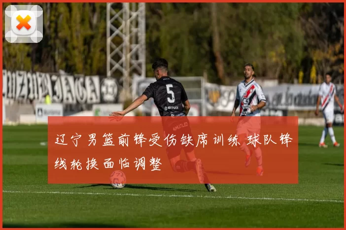 辽宁男篮前锋受伤缺席训练 球队锋线轮换面临调整